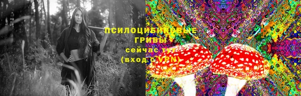 бутират Верея