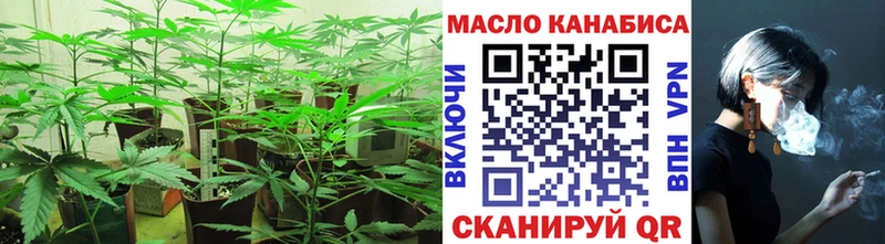 kraken зеркало  Ирбит  ТГК THC oil 