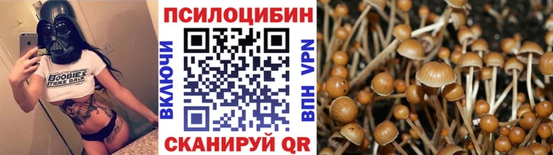 blacksprut рабочий сайт  Ирбит  Псилоцибиновые грибы GOLDEN TEACHER 